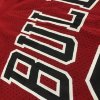 Футболка NBA с короткими рукавами Чикаго Булс № 33 Скотти Пиппен красная фото 4 &mdash; FormaBasket